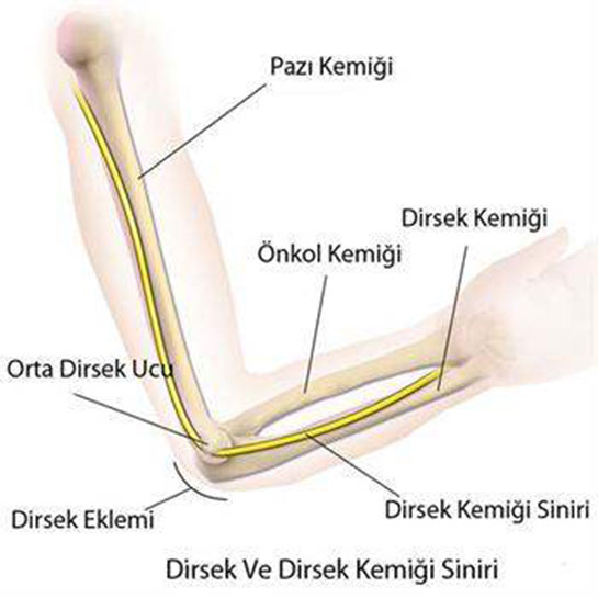 Kol Dirseinde Sinir Skmas